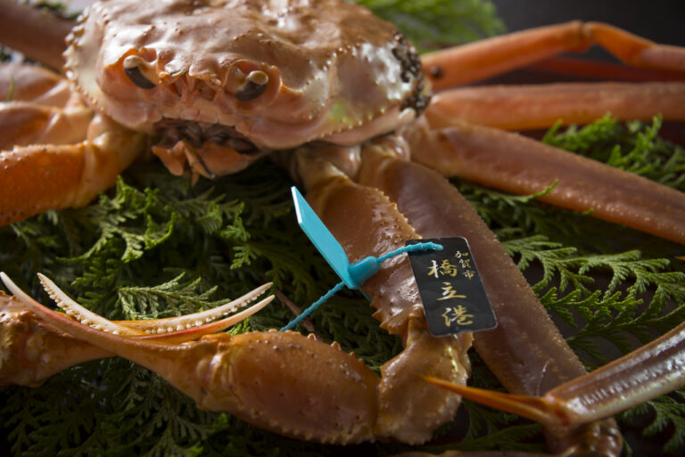 【活橋立蟹懐石】加賀が誇る珠玉の逸品～知る人ぞ知る地物ブランド『橋立蟹』を焼き・刺し・蟹すき鍋で味わう